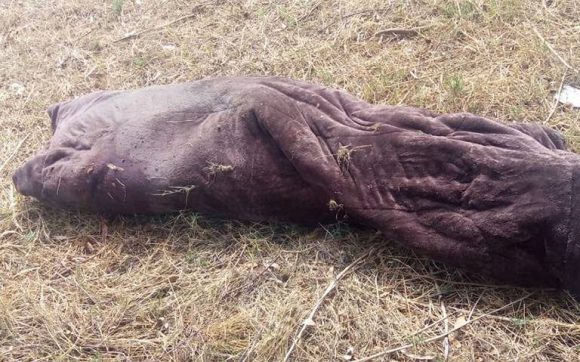 ENCOBIJADO Y CON MENSAJE DEL CRIMEN ORGANIZADO; ASÍ LO DEJARON POR ENTRADA A LA PLANTA CERVECERA ENCOBIJADO Y CON MENSAJE DEL CRIMEN ORGANIZADO; ASÍ LO DEJARON POR ENTRADA A LA PLANTA CERVECERA