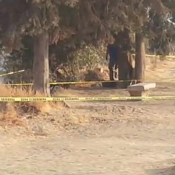 COLGADO DE UN ÁRBOL Y TORTURADO: ASÍ LO DEJARON ALLÁ POR TORREÓN DE LOS PASTORES