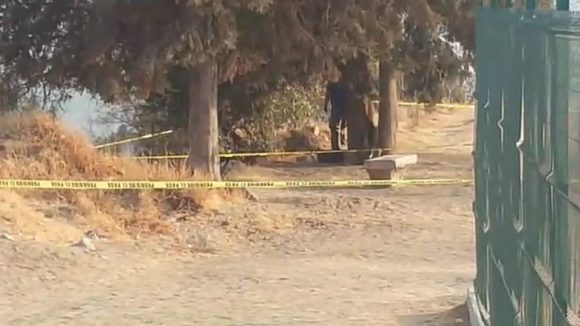 COLGADO DE UN ÁRBOL Y TORTURADO: ASÍ LO DEJARON ALLÁ POR TORREÓN DE LOS PASTORES COLGADO DE UN ÁRBOL Y TORTURADO: ASÍ LO DEJARON ALLÁ POR TORREÓN DE LOS PASTORES