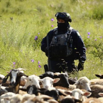 Refuerzan seguridad en Ermita de los Correa; titular de la SSP realiza recorridos en la zona