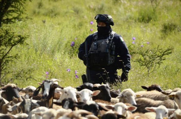 Refuerzan seguridad en Ermita de los Correa; titular de la SSP realiza recorridos en la zona Refuerzan seguridad en Ermita de los Correa; titular de la SSP realiza recorridos en la zona