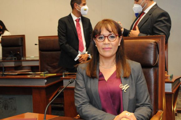 Maribel Galván Jiménez rindió protesta como Diputada Local de Morena