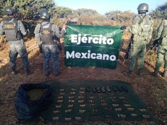 ASEGURAN FUERZAS DE SEGURIDAD 30 KG DE DROGA ASEGURAN FUERZAS DE SEGURIDAD 30 KG DE DROGA