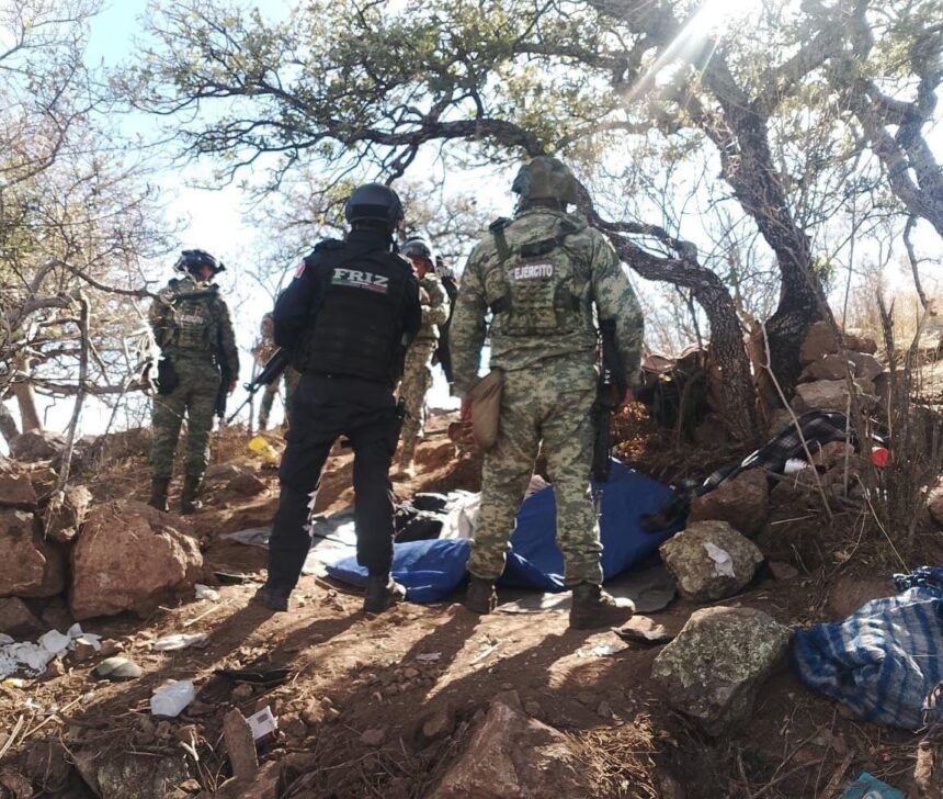 LOCALIZAN Y DESTRUYEN FUERZAS DE SEGURIDAD OCHO CAMPAMENTOS UTILIZADOS POR UN GRUPO DELINCUENCIAL