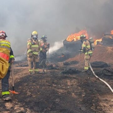 CONTROLAN INCENDIO EN INMEDIACIONES DE LA SECRETARÍA DE SEGURIDAD PÚBLICA
