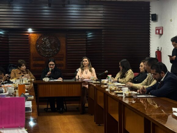 IMPULSA GOBIERNO DE ZACATECAS PROGRAMAS QUE GARANTIZAN BIENESTAR A LAS MUJERES