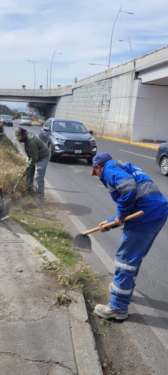 IMPULSA LA CAPITAL OPERATIVO DE LIMPIEZA Y DESHIERBE TRAS TEMPORADA DE LLUVIAS PARA EVITAR RIESGOS