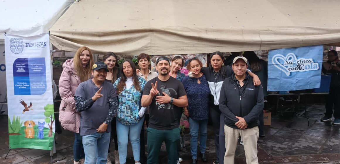 IMPULSA LA CAPITAL CUIDADO ANIMAL CON JORNADA DE ADOPCIÓN Y DONACIÓN «ADOPTANINO»