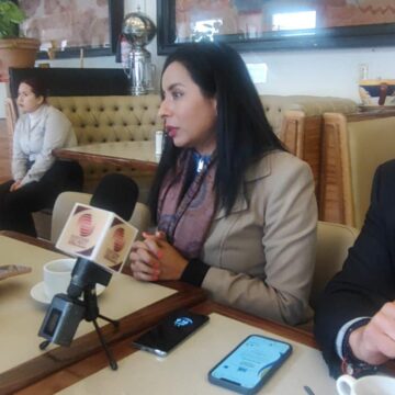 HACE MUCHO FALTA UNA ESTRATEGIA EFICAZ DEL GOBIERNO FEDERAL EN ECONOMÍA: CRISTINA IBARRA