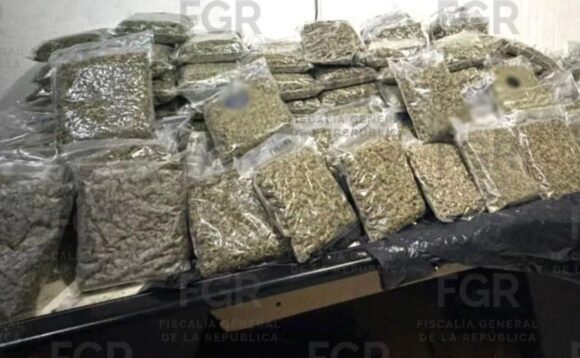 VINCULAN A TRES POR POSESIÓN DE MÁS DE 100 KILOS DE MARIGUANA EN LA GAM VINCULAN A TRES POR POSESIÓN DE MÁS DE 100 KILOS DE MARIGUANA EN LA GAM