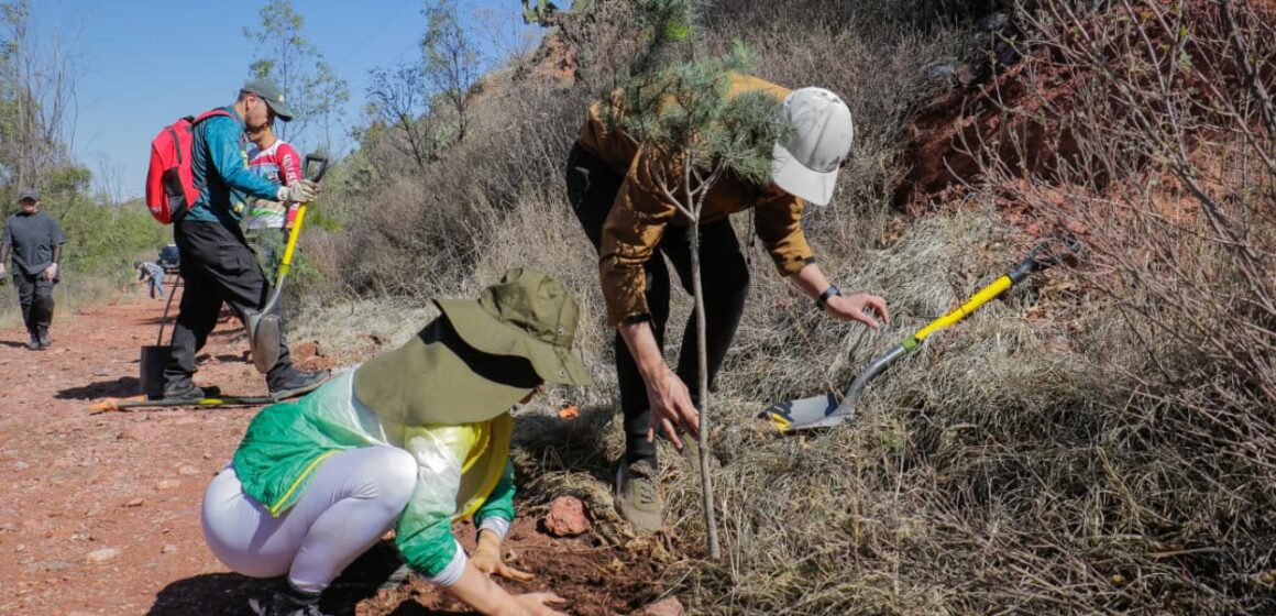 ZACATECAS CAPITAL INICIA JORNADA DE REFORESTACIÓN EN EL CERRO DE LA BUFA PARA CONMEMORAR EL DÍA MUNDIAL DEL MEDIO AMBIENTE