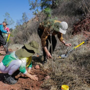 ZACATECAS CAPITAL INICIA JORNADA DE REFORESTACIÓN EN EL CERRO DE LA BUFA PARA CONMEMORAR EL DÍA MUNDIAL DEL MEDIO AMBIENTE ZACATECAS CAPITAL INICIA JORNADA DE REFORESTACIÓN EN EL CERRO DE LA BUFA PARA CONMEMORAR EL DÍA MUNDIAL DEL MEDIO AMBIENTE