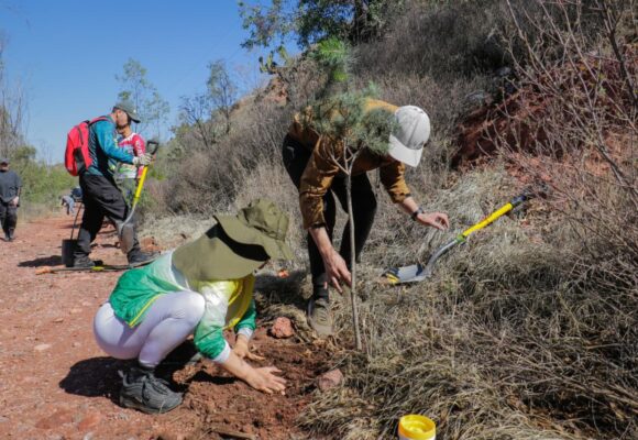 ZACATECAS CAPITAL INICIA JORNADA DE REFORESTACIÓN EN EL CERRO DE LA BUFA PARA CONMEMORAR EL DÍA MUNDIAL DEL MEDIO AMBIENTE ZACATECAS CAPITAL INICIA JORNADA DE REFORESTACIÓN EN EL CERRO DE LA BUFA PARA CONMEMORAR EL DÍA MUNDIAL DEL MEDIO AMBIENTE