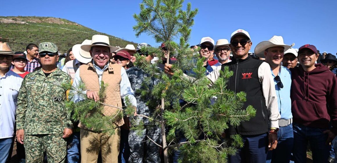 SE SUMA GOBERNADOR DAVID MONREAL A LA JORNADA NACIONAL DE REFORESTACIÓN 2026; SIEMBRAN MÁS DE 18 MIL ÁRBOLES EN ZACATECAS