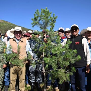 SE SUMA GOBERNADOR DAVID MONREAL A LA JORNADA NACIONAL DE REFORESTACIÓN 2026; SIEMBRAN MÁS DE 18 MIL ÁRBOLES EN ZACATECAS SE SUMA GOBERNADOR DAVID MONREAL A LA JORNADA NACIONAL DE REFORESTACIÓN 2026; SIEMBRAN MÁS DE 18 MIL ÁRBOLES EN ZACATECAS