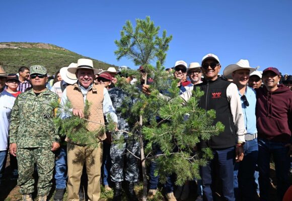 SE SUMA GOBERNADOR DAVID MONREAL A LA JORNADA NACIONAL DE REFORESTACIÓN 2026; SIEMBRAN MÁS DE 18 MIL ÁRBOLES EN ZACATECAS SE SUMA GOBERNADOR DAVID MONREAL A LA JORNADA NACIONAL DE REFORESTACIÓN 2026; SIEMBRAN MÁS DE 18 MIL ÁRBOLES EN ZACATECAS