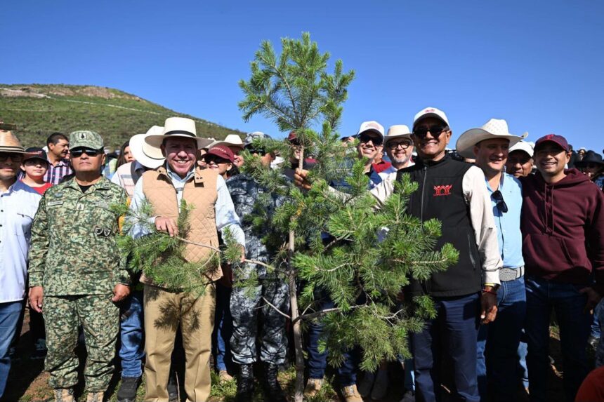 SE SUMA GOBERNADOR DAVID MONREAL A LA JORNADA NACIONAL DE REFORESTACIÓN 2026; SIEMBRAN MÁS DE 18 MIL ÁRBOLES EN ZACATECAS SE SUMA GOBERNADOR DAVID MONREAL A LA JORNADA NACIONAL DE REFORESTACIÓN 2026; SIEMBRAN MÁS DE 18 MIL ÁRBOLES EN ZACATECAS