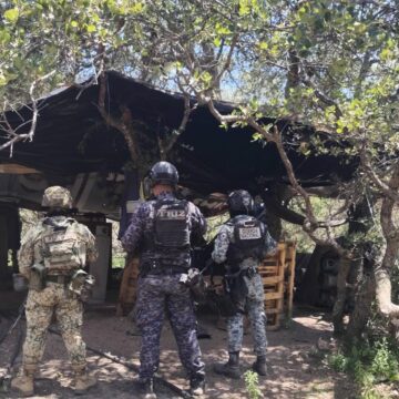 LOCALIZAN Y DESMANTELAN FUERZAS DE SEGURIDAD ÁREA UTILIZADA PARA ELABORACIÓN DE DROGAS SINTÉTICAS EN SOMBRERETE LOCALIZAN Y DESMANTELAN FUERZAS DE SEGURIDAD ÁREA UTILIZADA PARA ELABORACIÓN DE DROGAS SINTÉTICAS EN SOMBRERETE