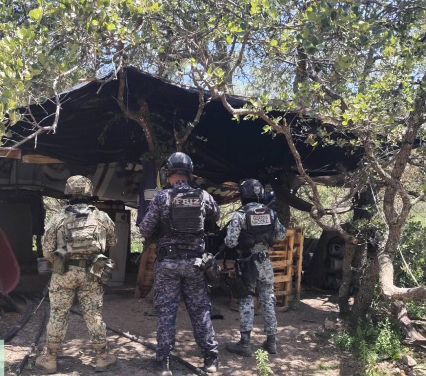 LOCALIZAN Y DESMANTELAN FUERZAS DE SEGURIDAD ÁREA UTILIZADA PARA ELABORACIÓN DE DROGAS SINTÉTICAS EN SOMBRERETE LOCALIZAN Y DESMANTELAN FUERZAS DE SEGURIDAD ÁREA UTILIZADA PARA ELABORACIÓN DE DROGAS SINTÉTICAS EN SOMBRERETE